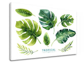 Stenska umetnost z besedilom Tropical set - slika 3