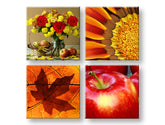 Slikanje sten COLLAGE 4 deli