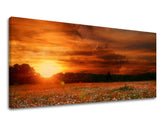 Stenska poslikava PANORAMA POKRAJINA