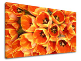 Stenska poslikava CVETJE TULIPÁNY