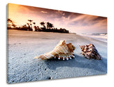Slika na platnu z motivom školjke na peščeni plaži ob sončnem zahodu – 3D prikaz platna z vidnim lesenim okvirjem, Papilora.