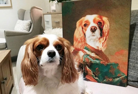 Zvieracie portréty na plátne - perfektné obrazy pre celú rodinu