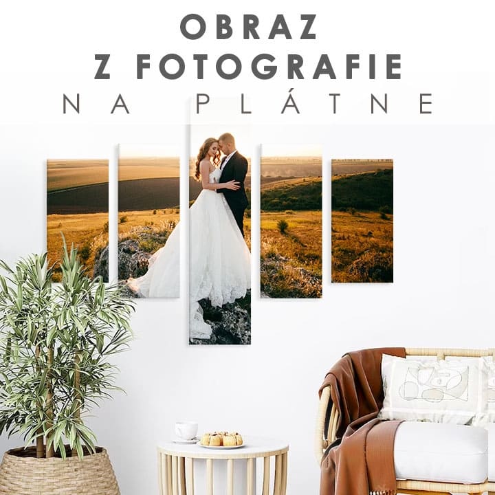 Slika s fotografije - 5 DEL | različne dimenzije