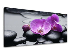 Stenska slika PANORAMA FENG SHUI 60x120 cm