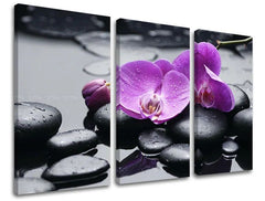 Stenska slika FENG SHUI Popust 60% 120X80 cm