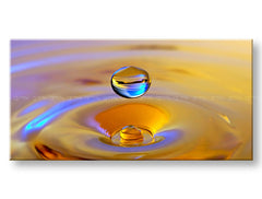 Stenska slika PANORAMA FENG SHUI XOBFS016E13 30X60 cm