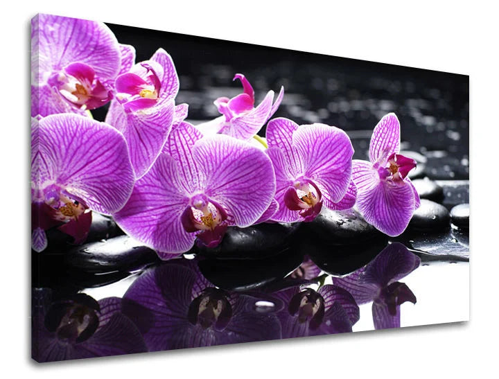 Stenska slika FENG SHUI Popust 60% 20X30 cm