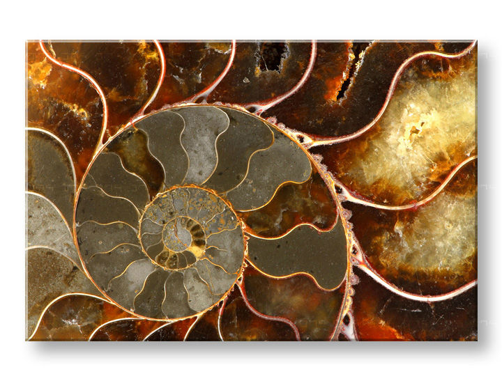 Stenska slika INSPIRACIJA 60x90 cm