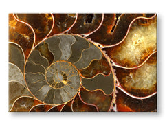 Stenska slika INSPIRACIJA 60x90 cm