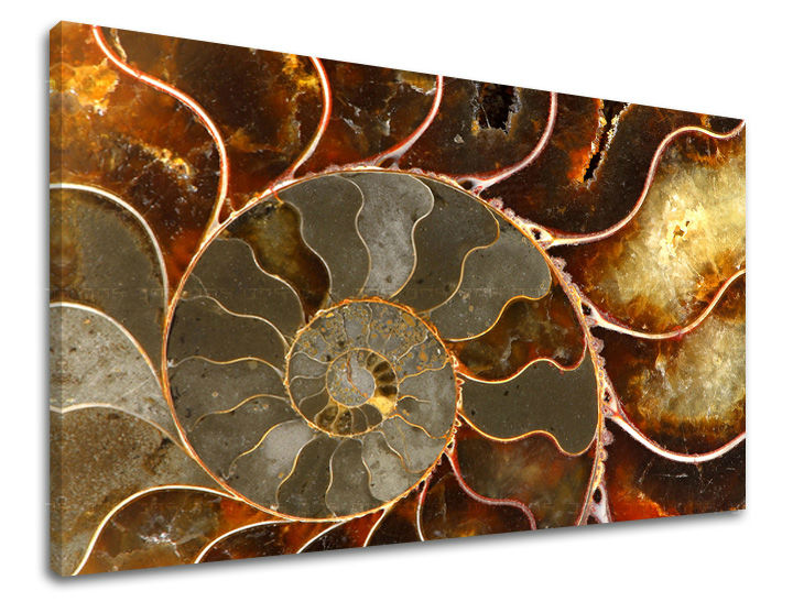 Stenska slika INSPIRACIJA 60x90 cm