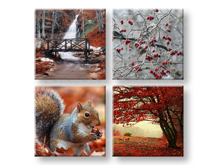 Stenska slika BEAUTY OF AUTUMN 40x40 cm