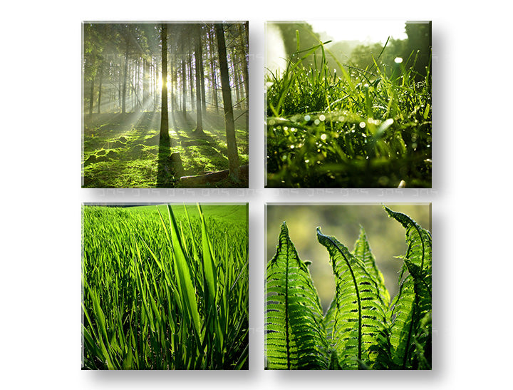 Stenska slika SUNRISE OF NATURE 80x80 cm