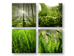 Stenska slika SUNRISE OF NATURE 80x80 cm