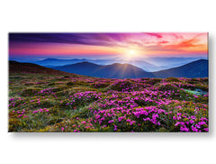 PANORAMA Pokrajinska stenska slika Popust 60% 50X100 cm