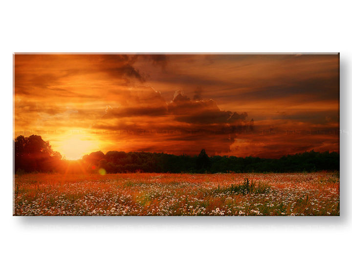 PANORAMA Pokrajinska stenska slika Popust 60% 50X100 cm
