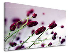 Stenska slika Cvetje 40X60 cm