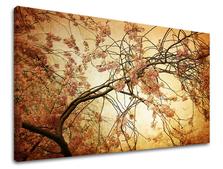 Stenska slika Cvetje 60x90 cm