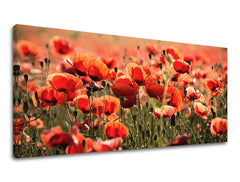 Stenska slika PANORAMA ROŽE