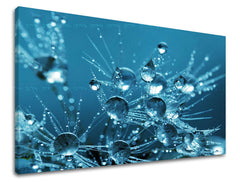 Stenska slika Cvetje Popust 60 % 30X40 cm