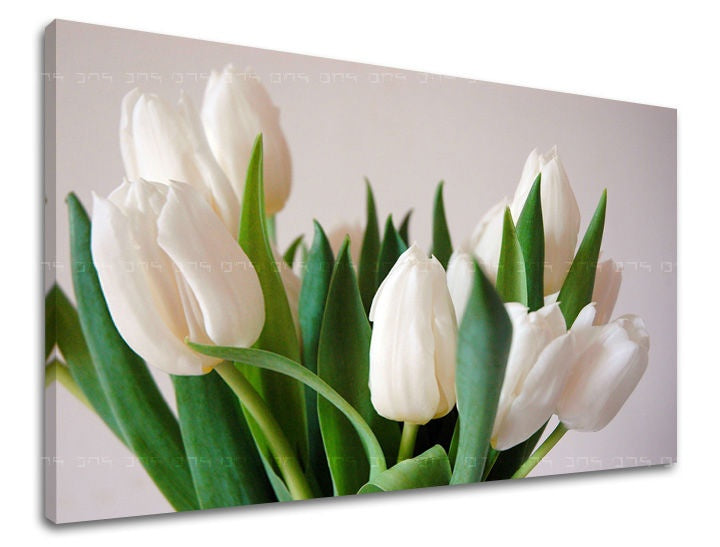 Stenska slika Cvetje TULIPANOV