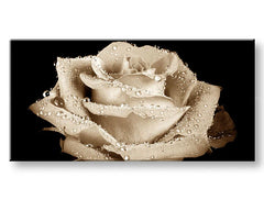 Panoramska stenska slika Cvetje Popust 40% 30X60 cm