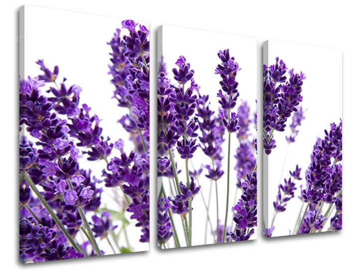 3-delna stenska slika ROŽE