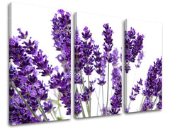 3-delna stenska slika ROŽE