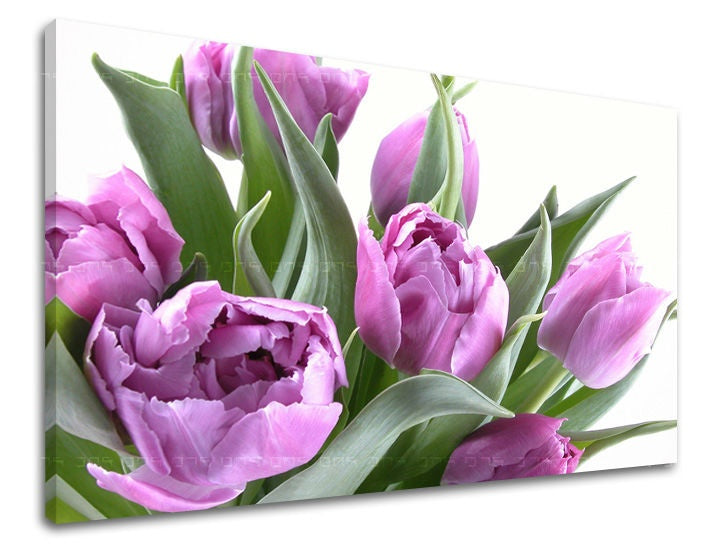 Stenska slika Cvetje TULIPANOV