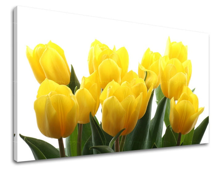 Stenska slika Cvetje TULIPANOV