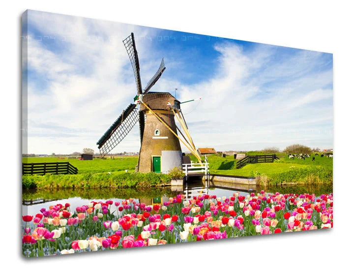 Stenska slika CITY Popust 60 % 30X40 cm