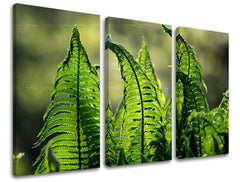 Stenska slika RASTLINE 60x40 cm