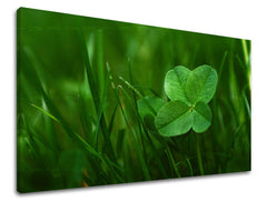 Stenska slika PLANTS Popust 60% 30X40 cm