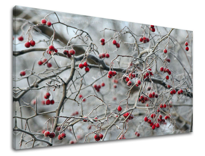 Stenska slika STROMY XOBST006E11 30X40 cm