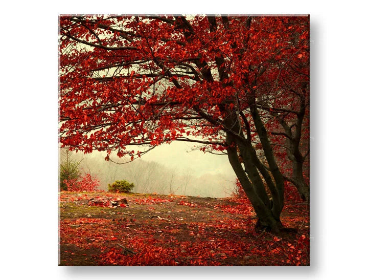 Stenska slika DREVESA Popust 60 % 50X50 cm - slika 2
