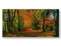 Stenska slika PANORAMA DREVESA