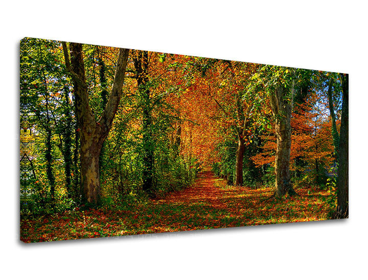 Stenska slika PANORAMA DREVESA - slika 2