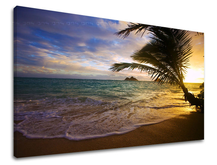 Stenska slika WEST WEST SLNKA 80x120 cm