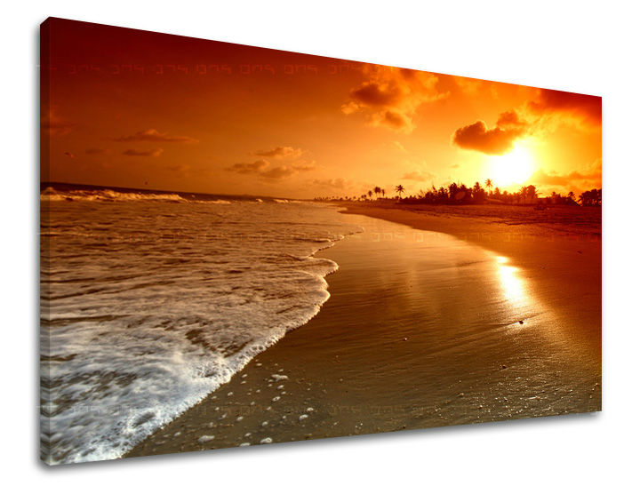 Stenska slika WEST WEST SLNKA 80x120 cm