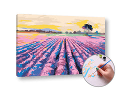 Slikanje po številkah LEVANDO POLE | nizka težavnost