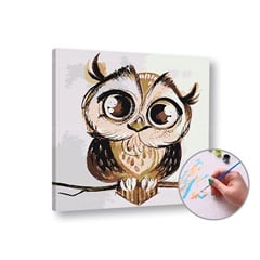 Komplet za barvanje po številkah - SOVA