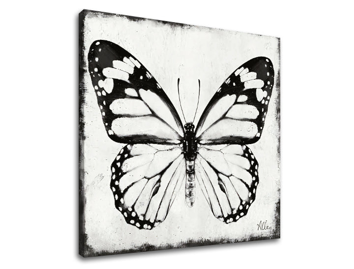 obraz-na-platne-motyl-rozne-rozmery-XOBCH20463FDE1.jpg