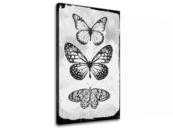 Slika na platnu MOTYLES 1 del XOBCH20477SDE1