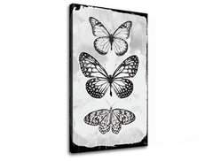 Slika na platnu MOTYLES 1 del XOBCH20477SDE1