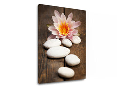 obraz-na-platne-feng-shui-059-11-rozne-rozmery-XOBFS059E11.jpg