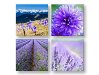 Stensko slikarstvo Čudovit pogled 4 deli XOBKOL25E42