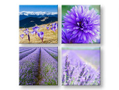 Stensko slikarstvo Čudovit pogled 4 deli XOBKOL25E42