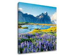 Stenska slika LÚKA_047-12