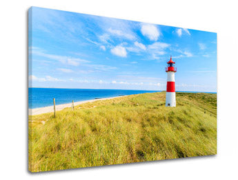 Slikanje sten LÚKA_052-11