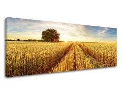 Slikanje sten LÚKA_053-13