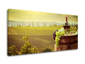 Slikanje sten VINICE_083-11